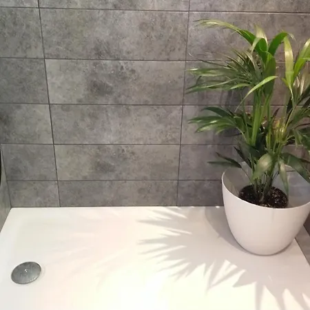 Grand T2 Luxe Classe 4**** - Plein Sud Et Tres Calme Au Lavandou アパート *