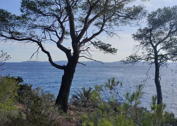 Apartamento Grand T2 Luxe Classé 4**** - Plein Sud Et Très Calme Au Lavandou Le Lavandou