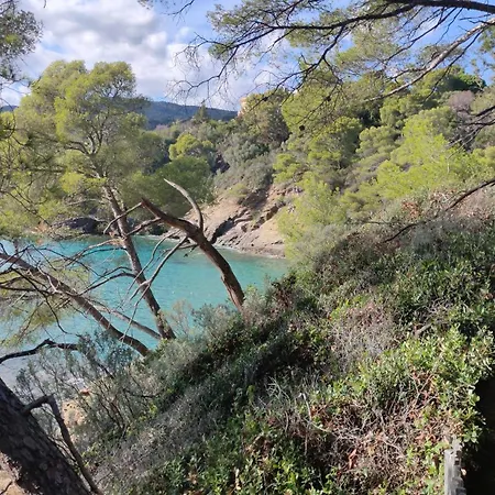 Grand T2 Classe 4 Etoiles - Plein Sud Et Tres Calme Au Lavandou *
