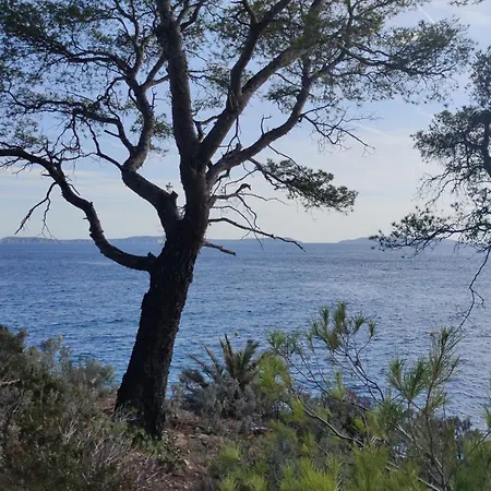 Apartment Grand T2 Luxe Classe 4**** - Plein Sud Et Tres Calme Au Lavandou Le Lavandou