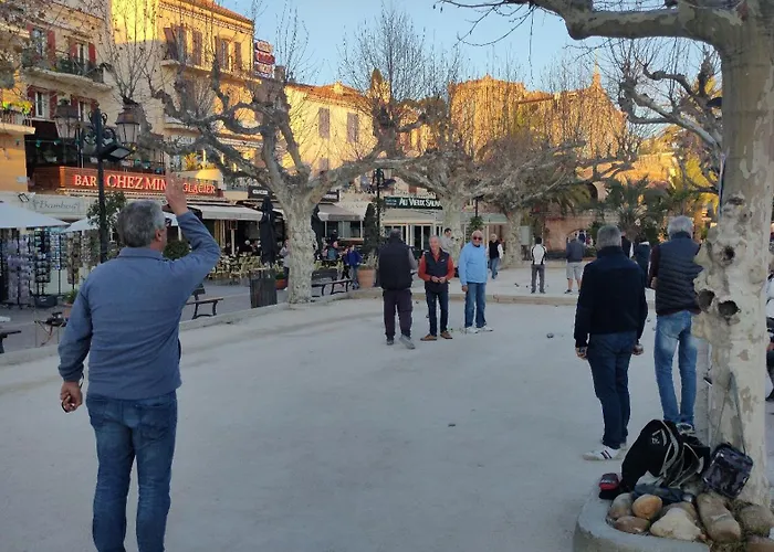 Grand T2 Classe 4 Etoiles - Plein Sud Et Tres Calme Au Lavandou Lägenhet Le Lavandou